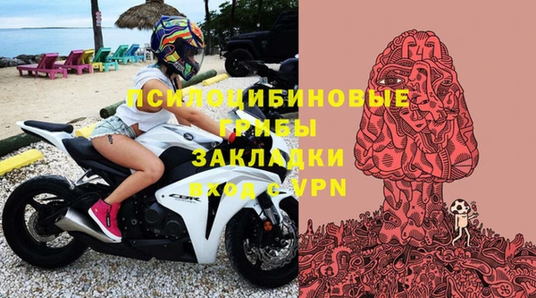 прущая мука Дмитриев