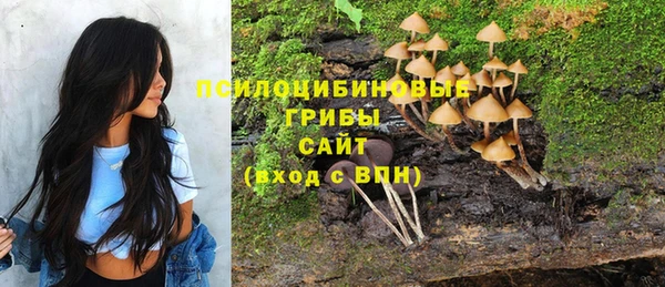 прущие крисы Дмитровск