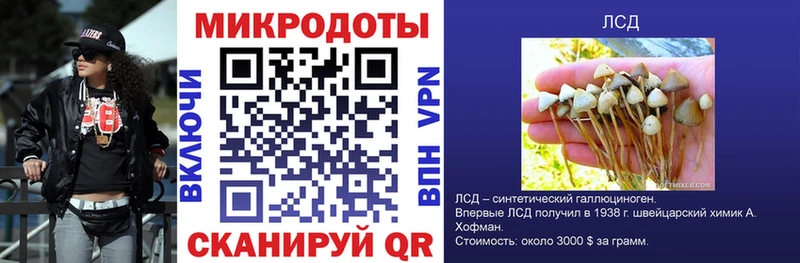 Купить  Тогучин  Псилоцибиновые грибы Cubensis 